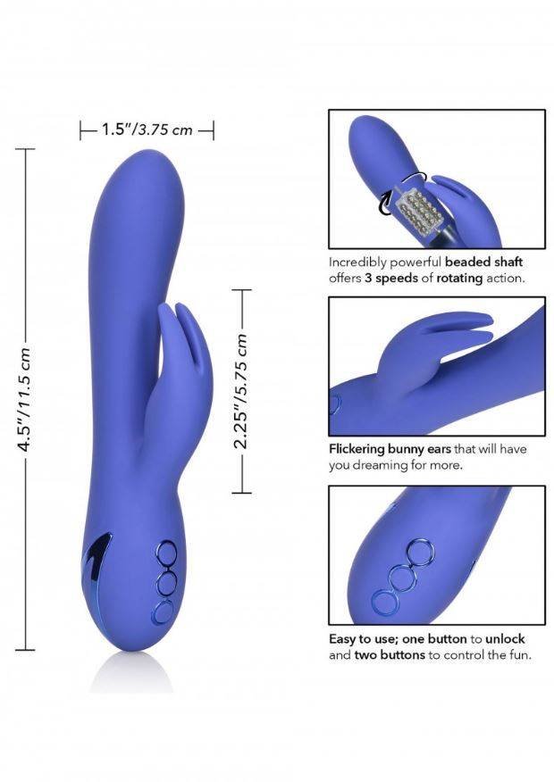 bhbunny4_1000x.jpg
